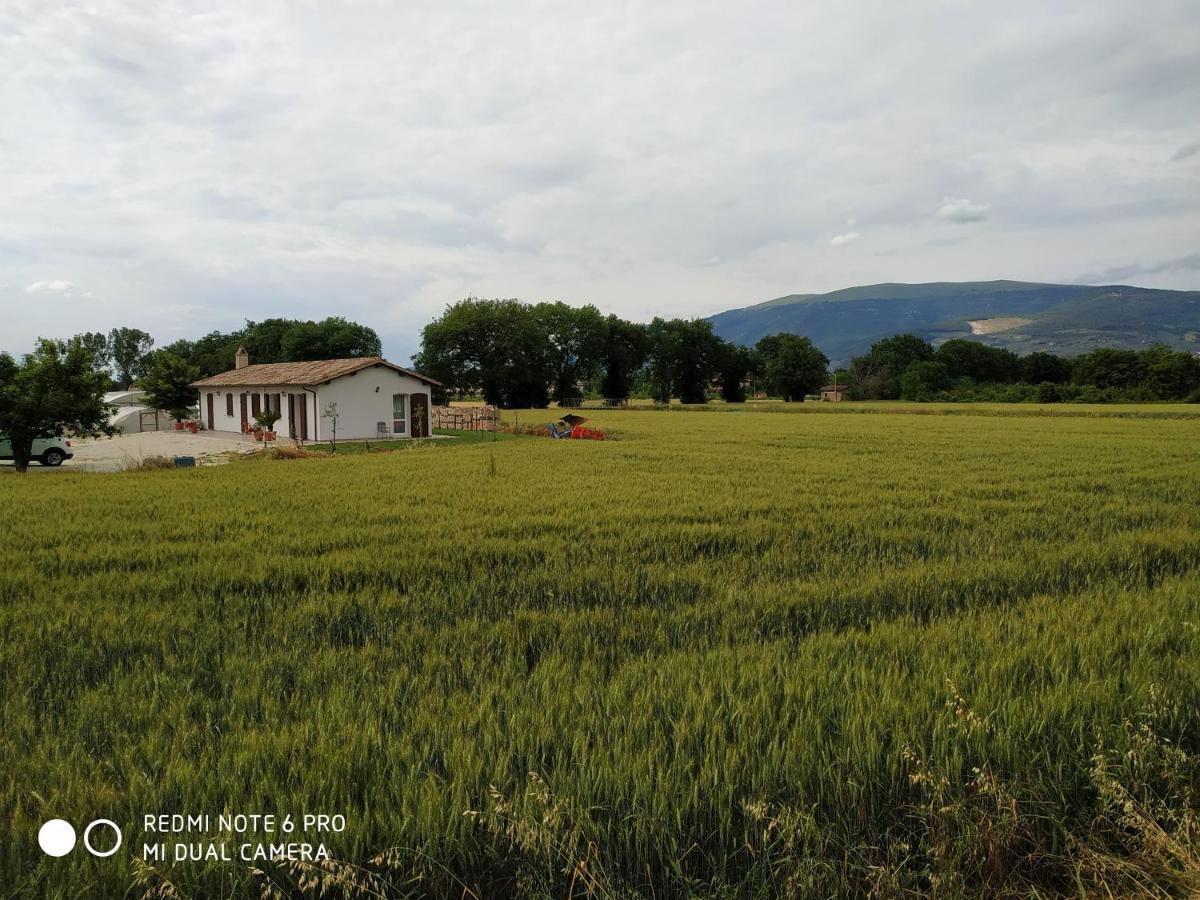 Agriturismo " Le Serre" Spello Ngoại thất bức ảnh