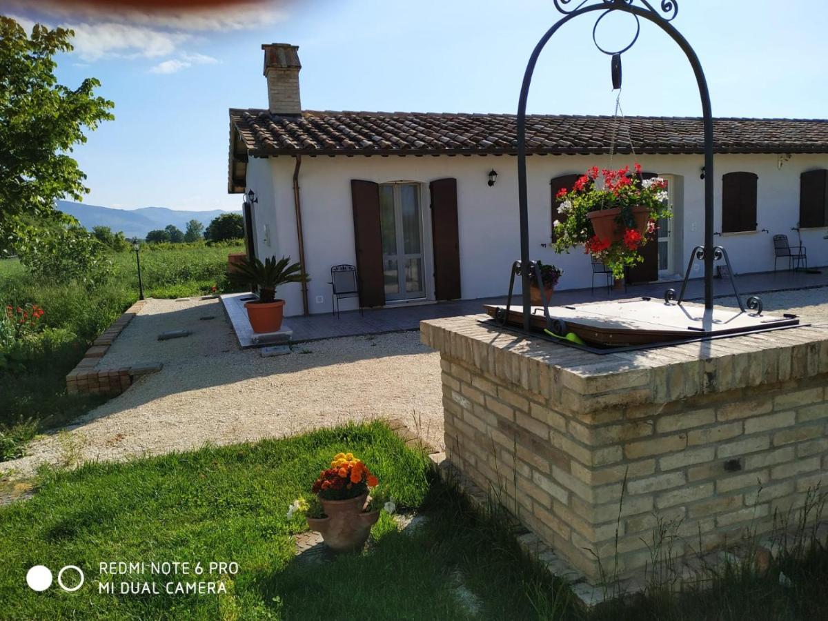 Agriturismo " Le Serre" Spello Ngoại thất bức ảnh