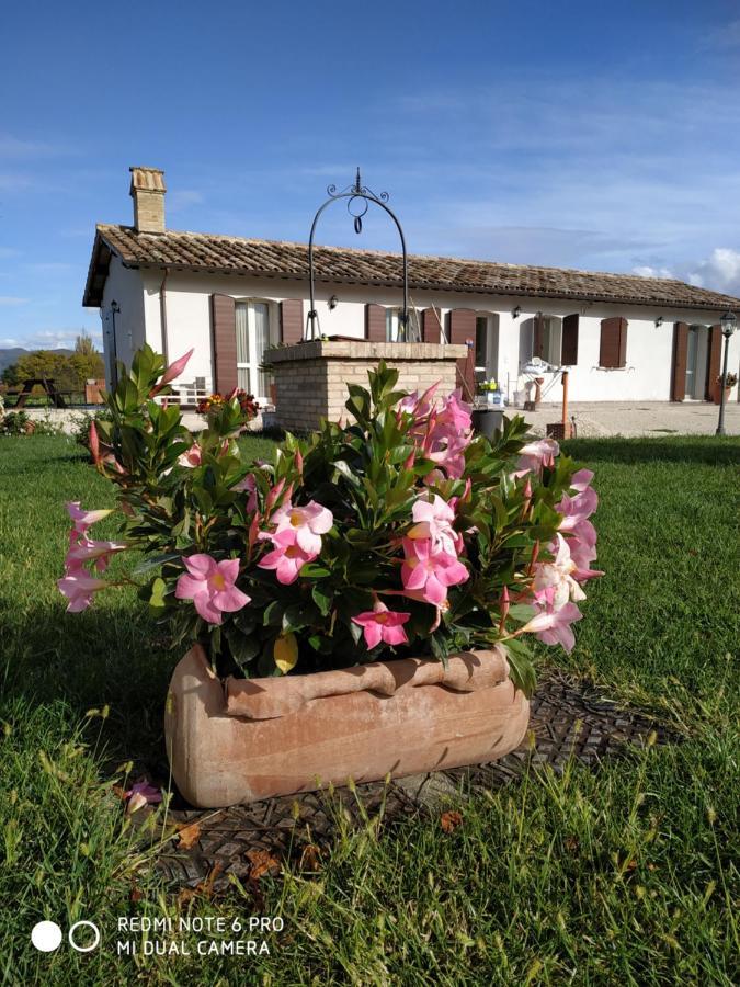 Agriturismo " Le Serre" Spello Ngoại thất bức ảnh